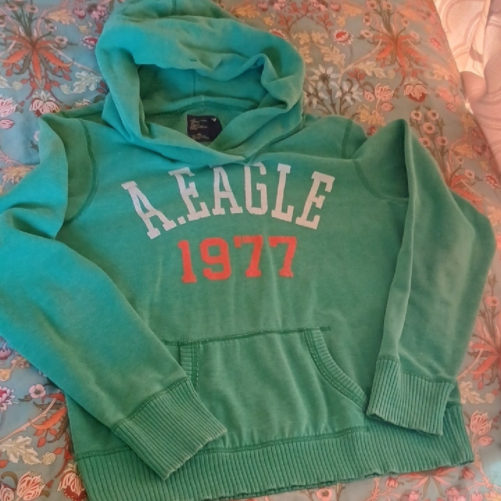 Vintage American Eagle Hoodie